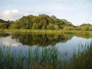  Nuestro lago de pesca